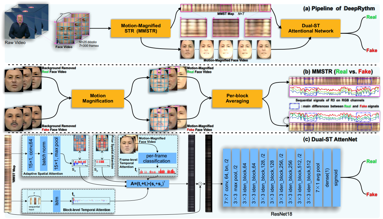 Deeprhythm: Exposing deepfakes with attentional visual heartbeat rhythms